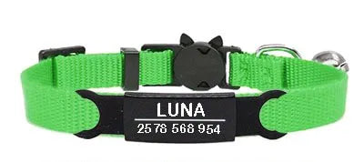 Collier pour Chat Personnalisé - Vert / Noir