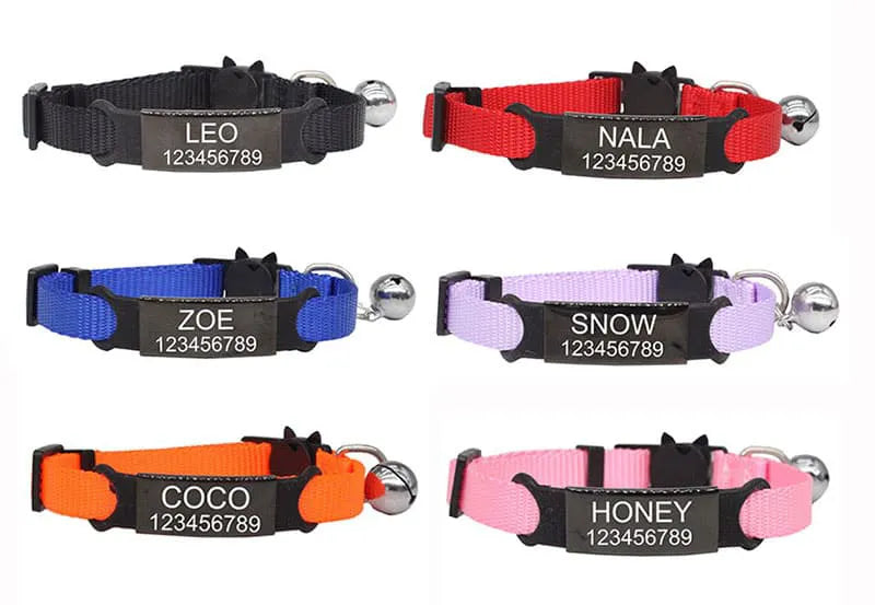 Collier pour Chat Personnalisé - Orange / Argenté