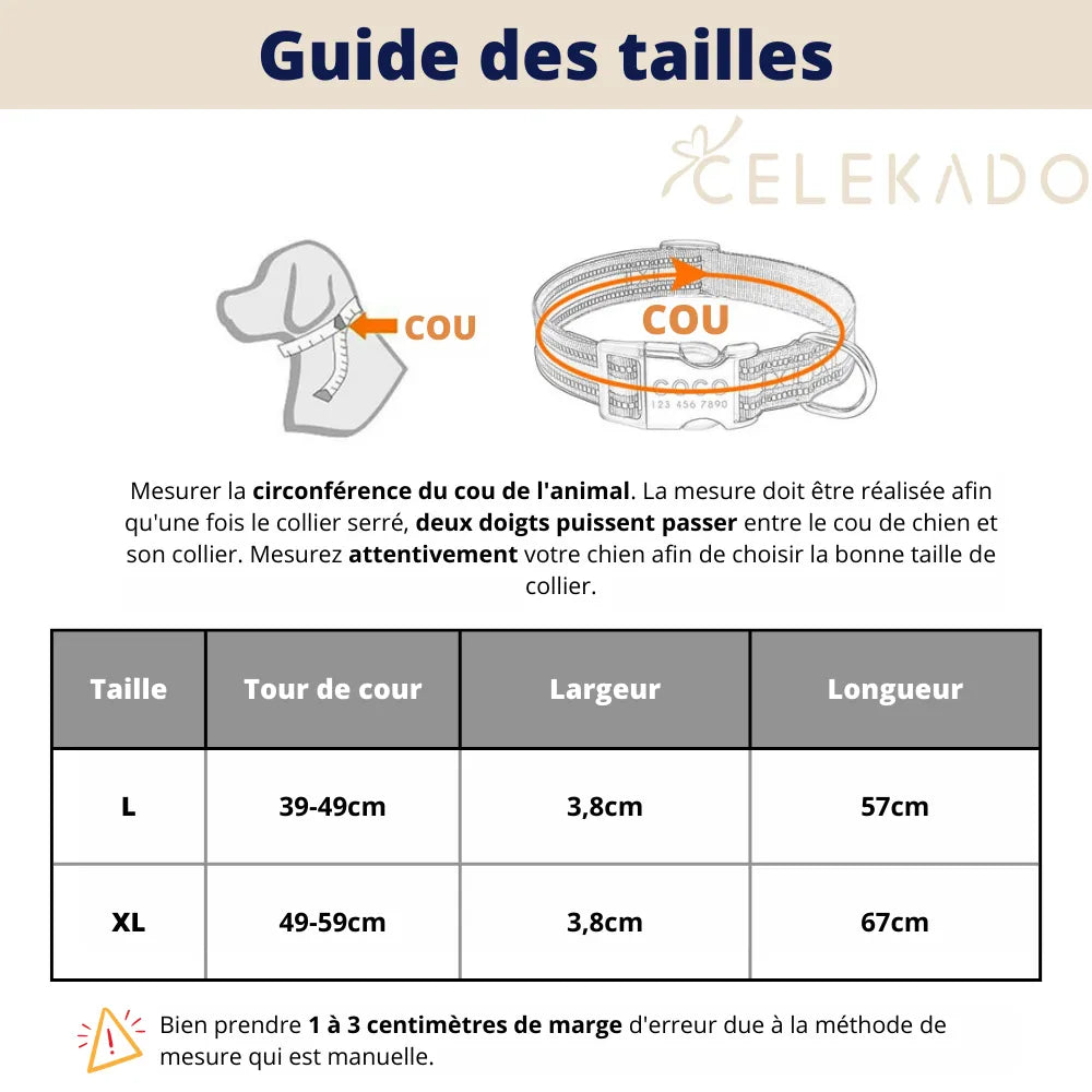 Collier Chien avec Prénom - Collier Chien avec Prénom