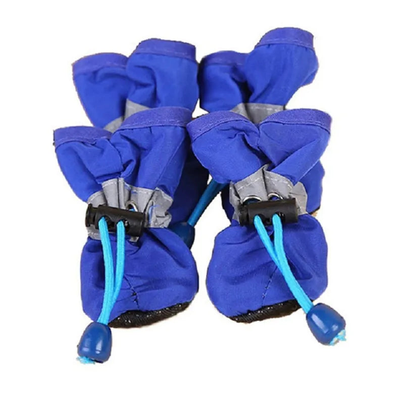 Chaussette pour Chien - Bleu / XXL