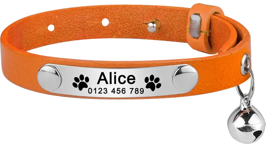 Collier Chat Cuir Personnalisable - Orange