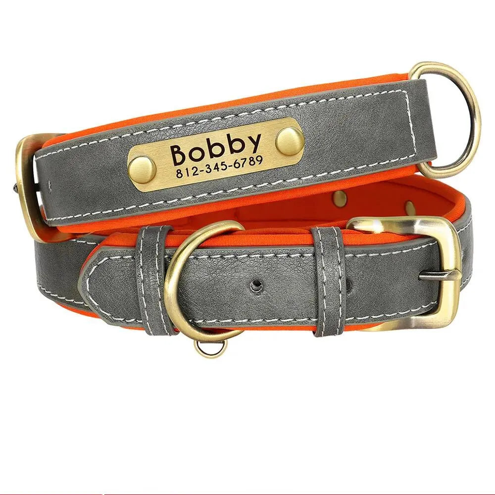 Collier Chien avec Plaque Gravée - Gris / XL