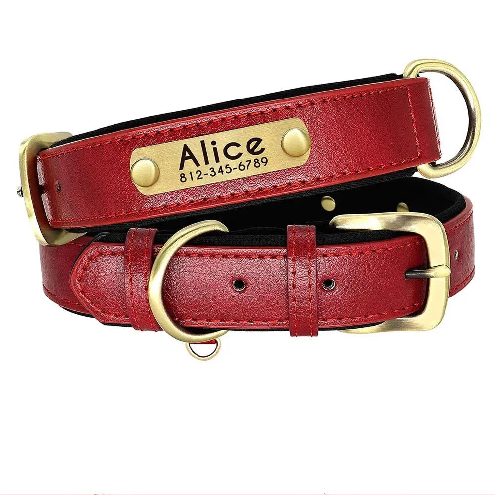 Collier Chien avec Plaque Gravée - Rouge / XL