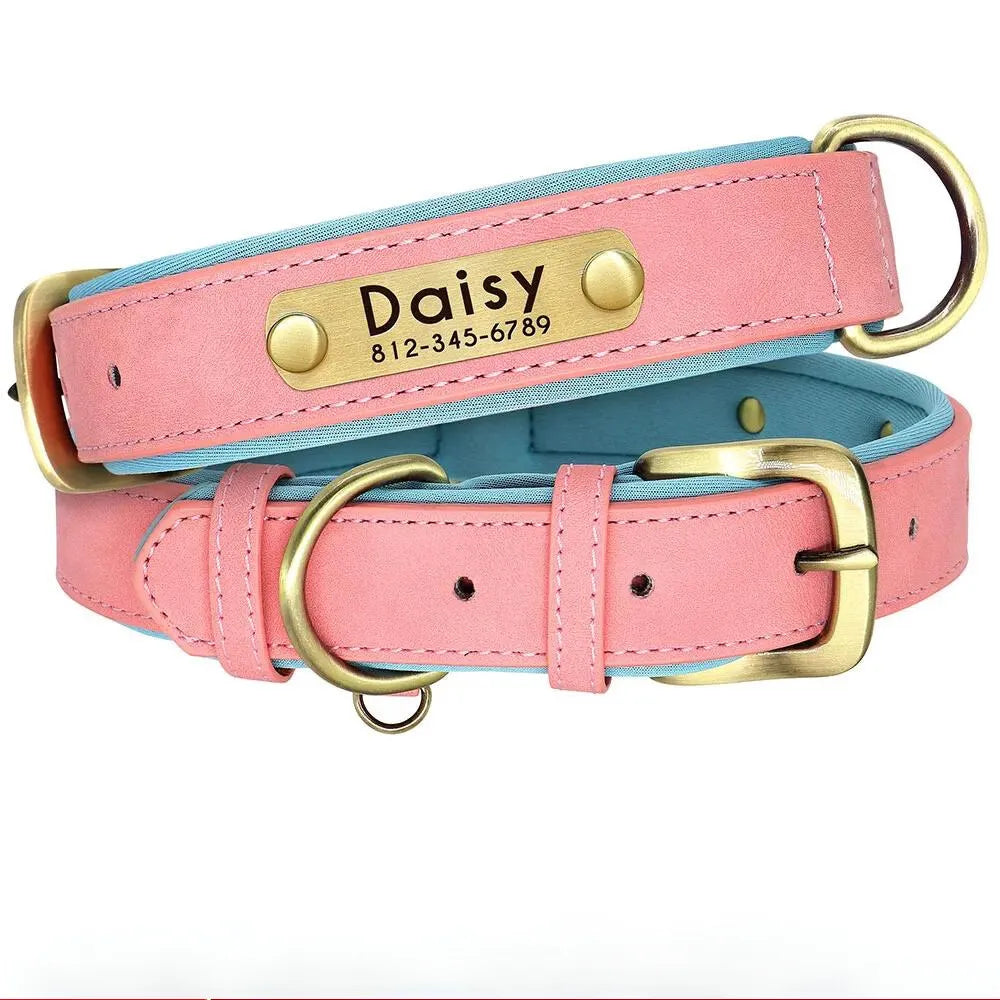 Collier Chien avec Plaque Gravée - Rose Claire / XL