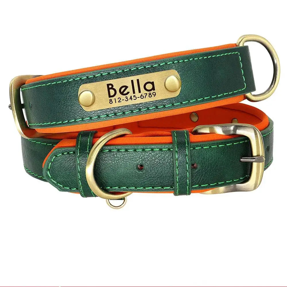 Collier Chien avec Plaque Gravée - Vert / XL