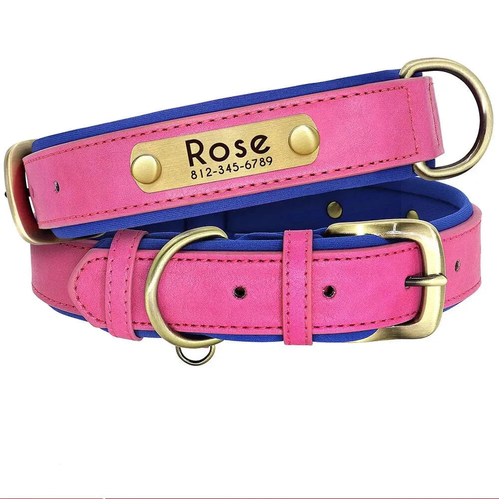 Collier Chien avec Plaque Gravée - Rose / XL