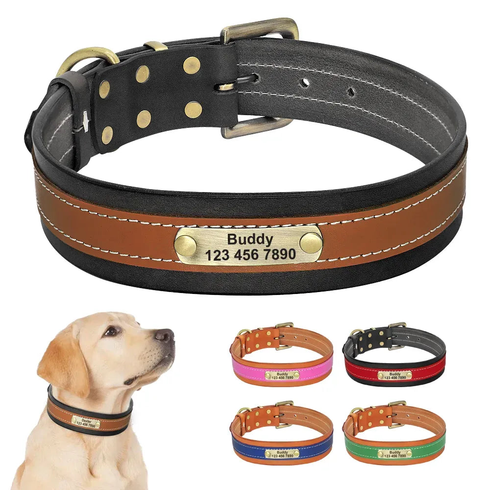 Collier Chien avec Prénom - Collier Chien avec Prénom