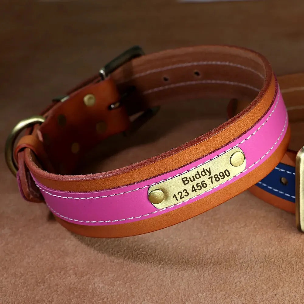 Collier Chien avec Prénom - Rose / XL