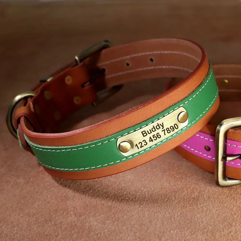 Collier Chien avec Prénom - Vert / XL