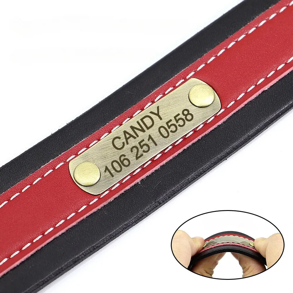 Collier Chien avec Prénom - Rouge / XL