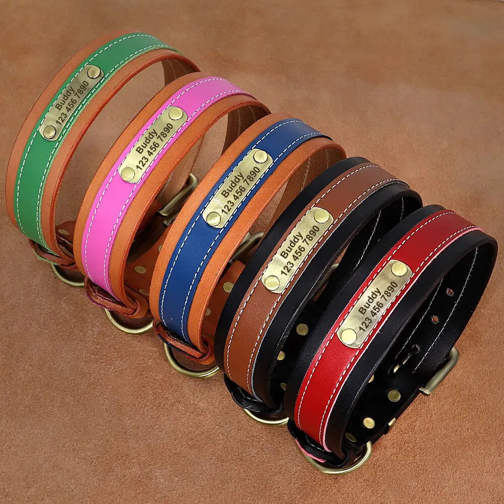 Collier Chien avec Prénom - Collier Chien avec Prénom