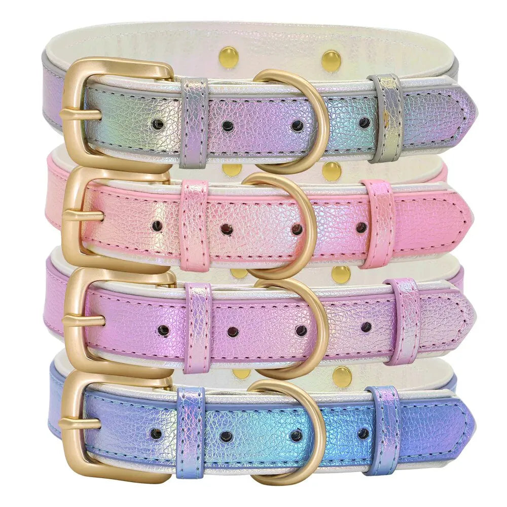 Collier Fluo Chien Personnalisé - Collier Fluo Chien Personnalisé