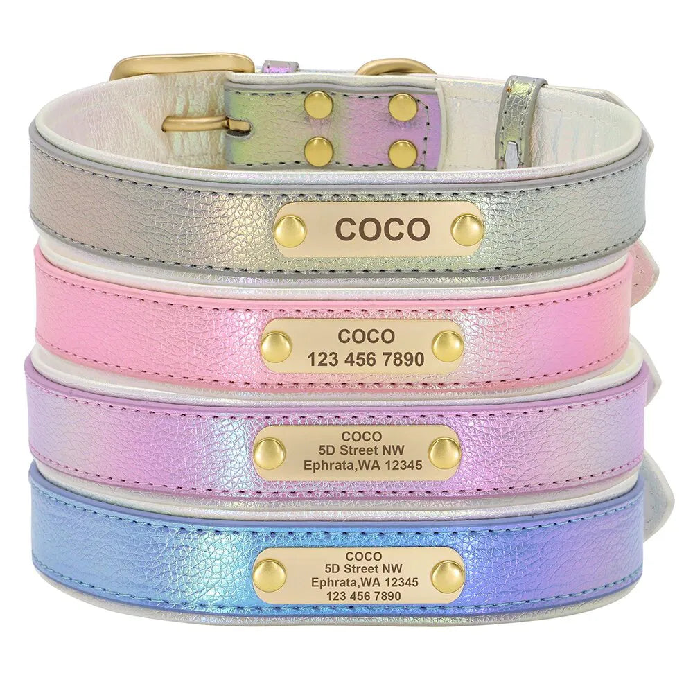 Collier Fluo Chien Personnalisé - Collier Fluo Chien Personnalisé