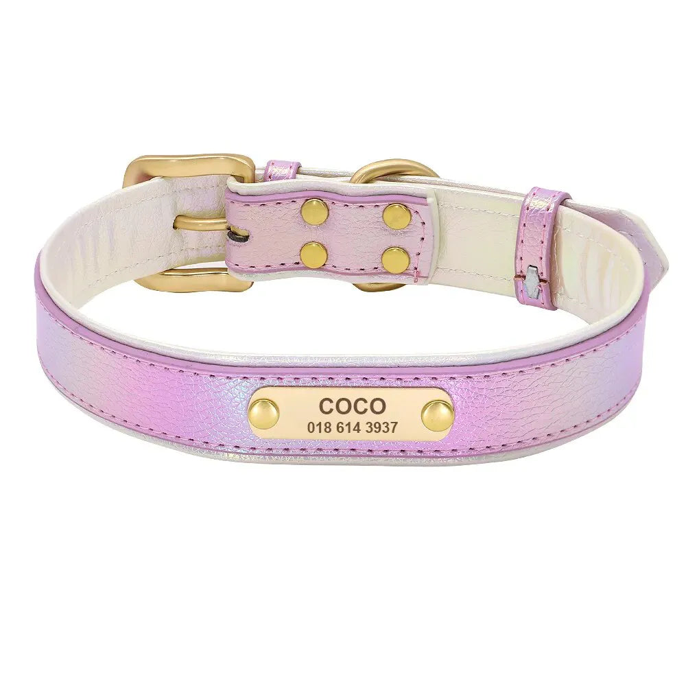 Collier Fluo Chien Personnalisé - Violet / XL