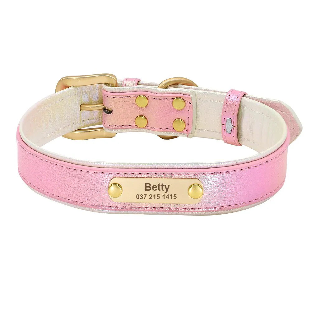 Collier Fluo Chien Personnalisé - Rose / XL