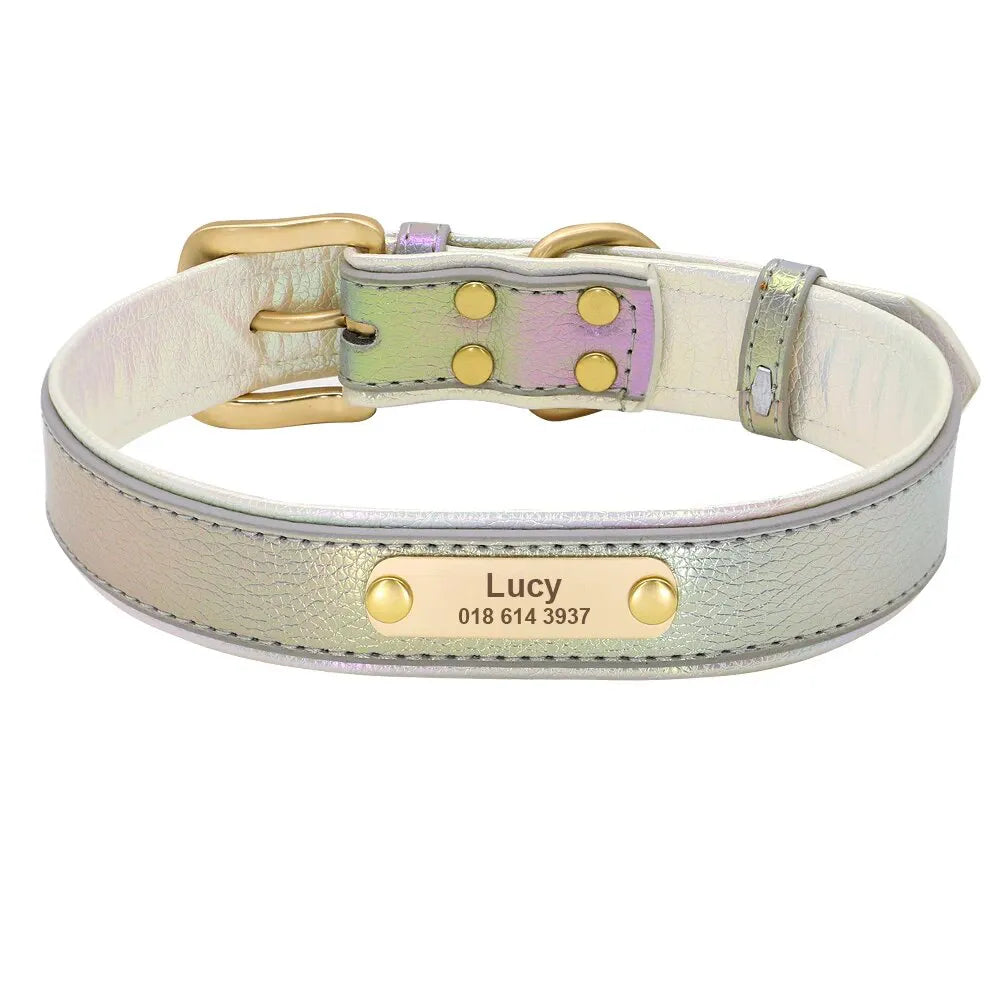 Collier Fluo Chien Personnalisé - Vert / XL
