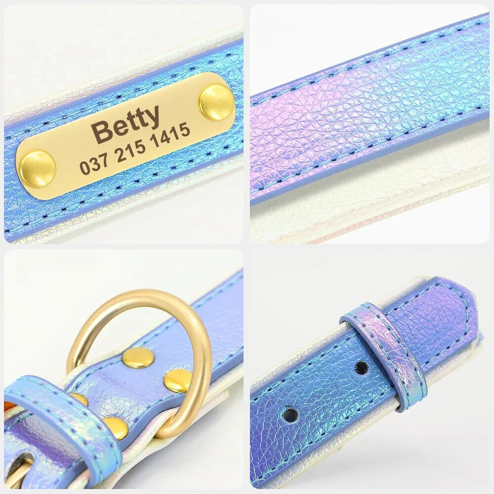 Collier Fluo Chien Personnalisé - Collier Fluo Chien Personnalisé