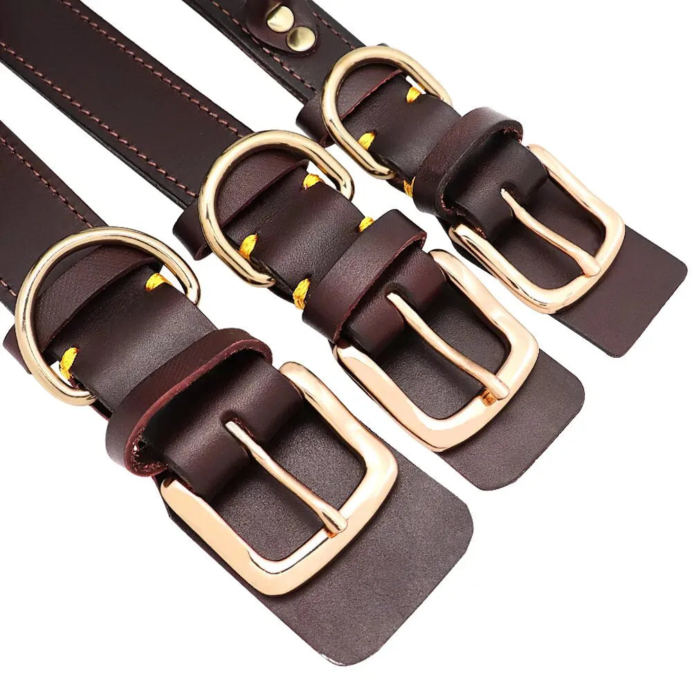 Collier pour Chien de Chasse Gravé - Collier pour Chien de Chasse Gravé