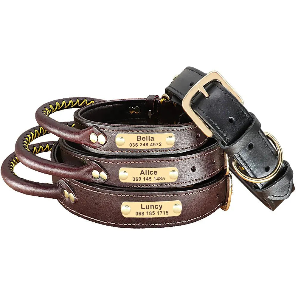 Collier pour Chien de Chasse Gravé - Collier pour Chien de Chasse Gravé
