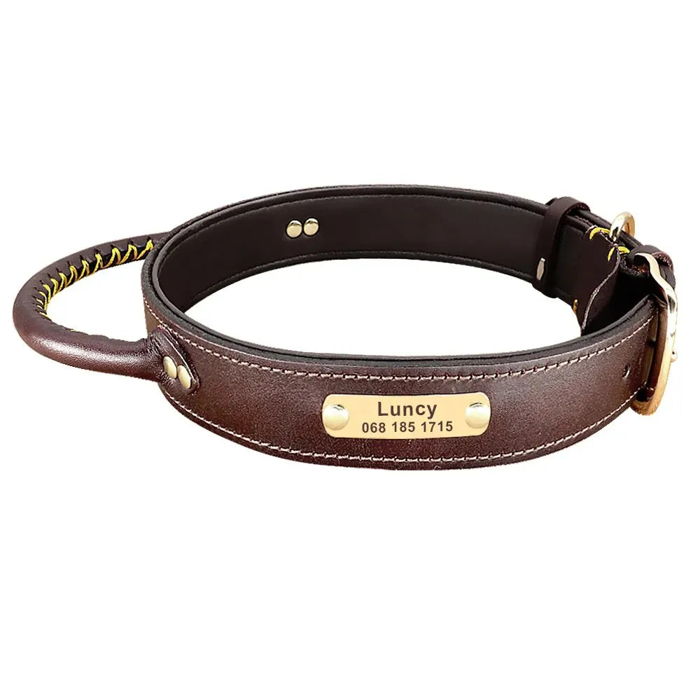 Collier pour Chien de Chasse Gravé - Marron / XL