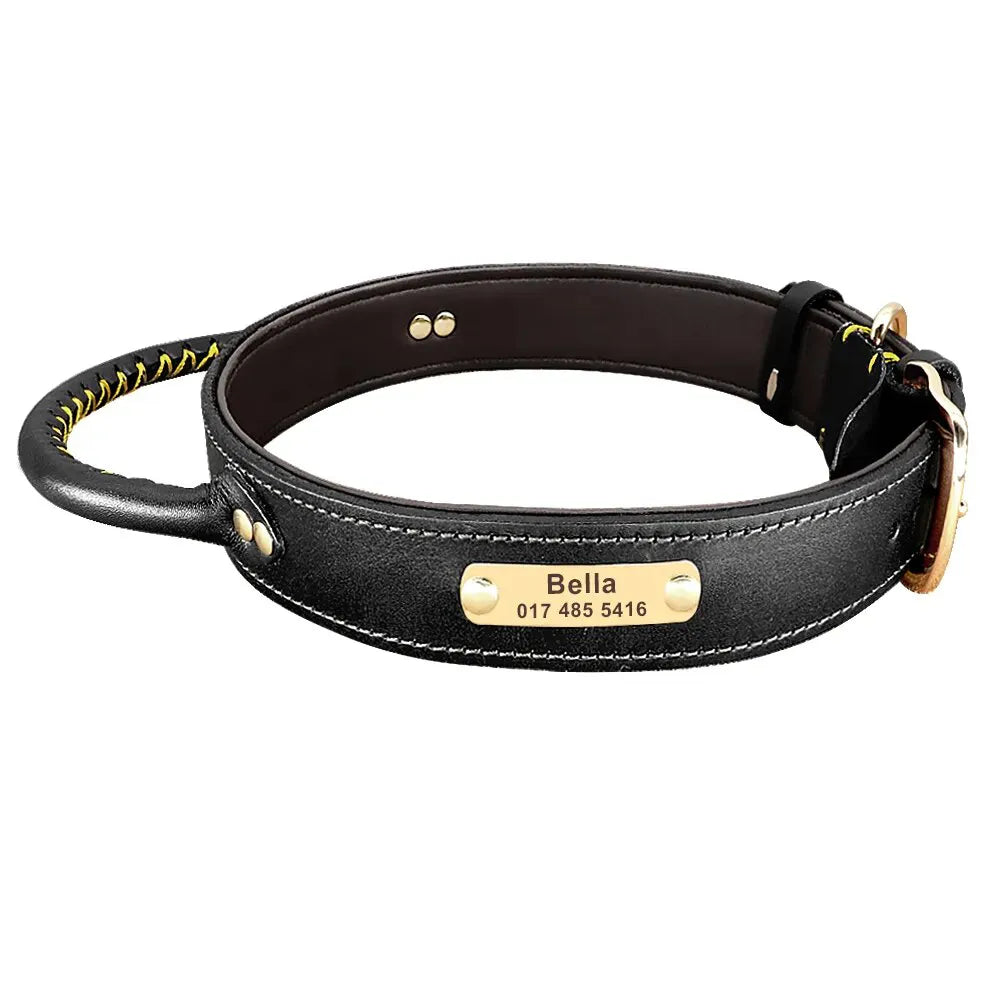 Collier pour Chien de Chasse Gravé - Noir / XL