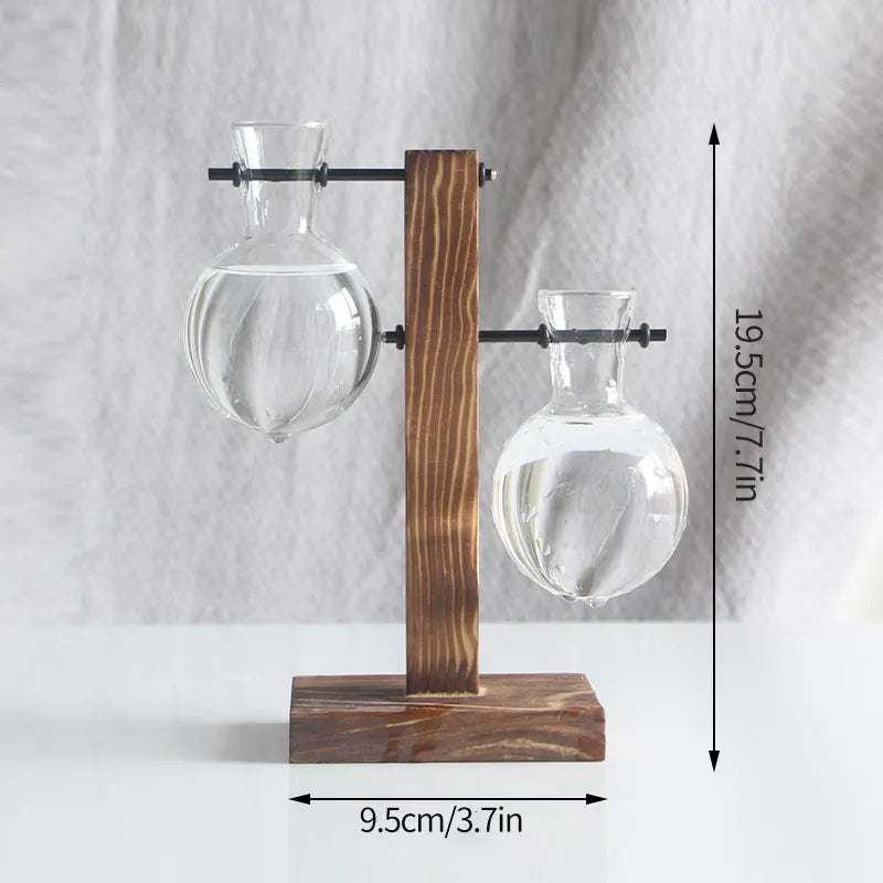 Pot de Fleurs Intérieur Design - 2 vases à hauteur différente