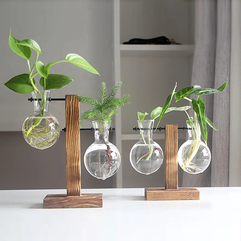 Pot de Fleurs Intérieur Design - Pot de Fleurs Intérieur Design