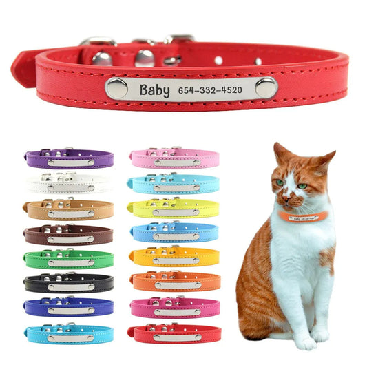 Collier personnalisé pour chat anti-étranglement