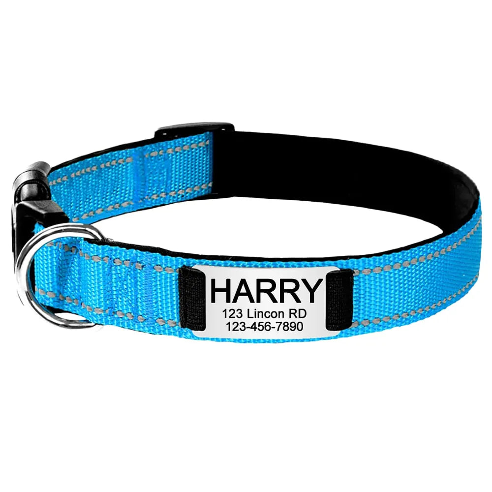 Collier pour Chien Personnalisé Bleu ciel