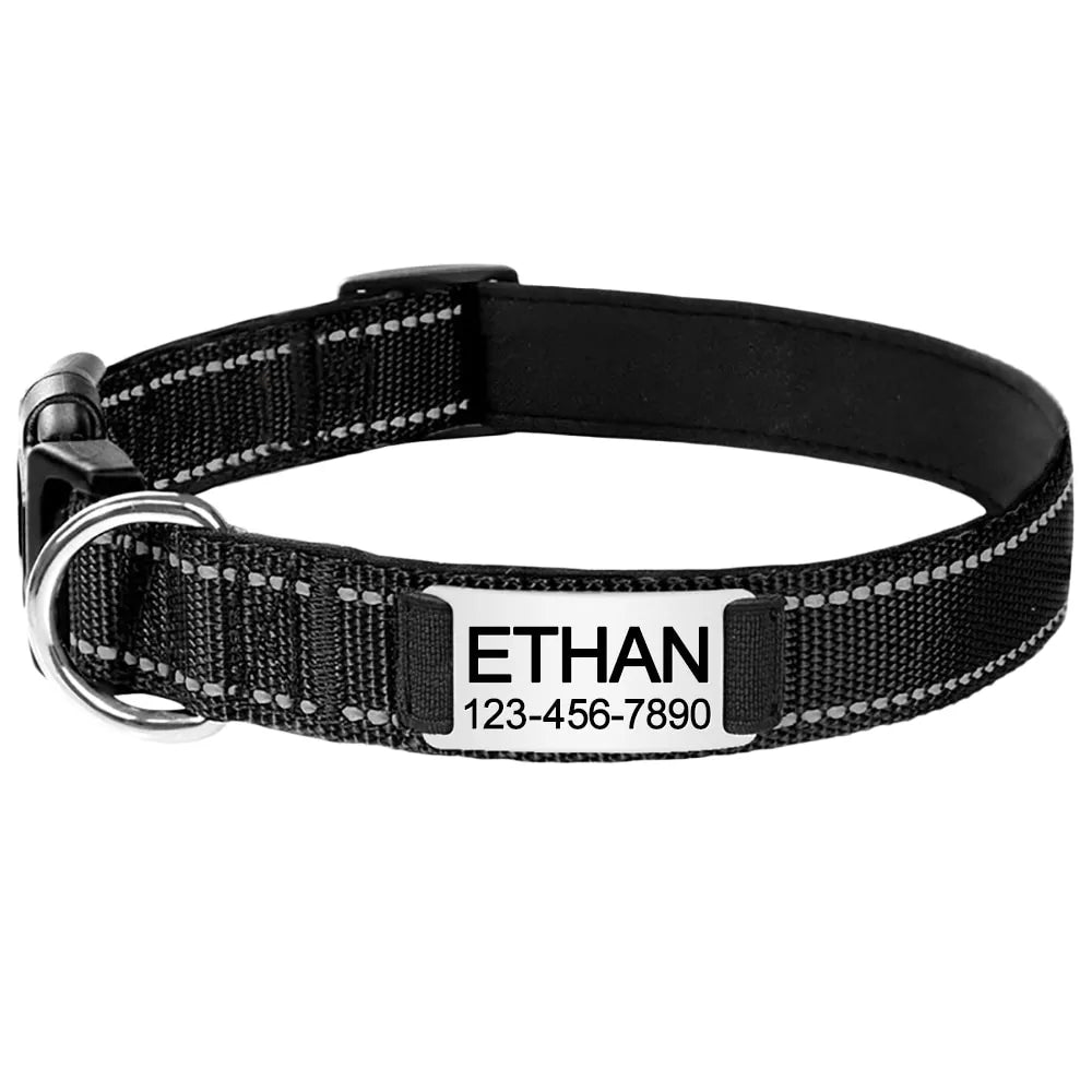 Collier pour Chien Personnalisé Noir