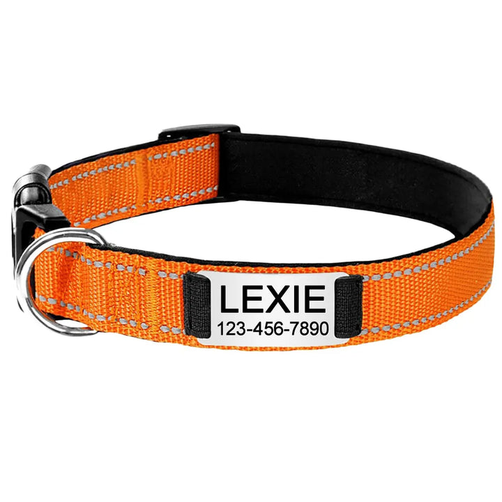 Collier pour Chien Personnalisé Orange