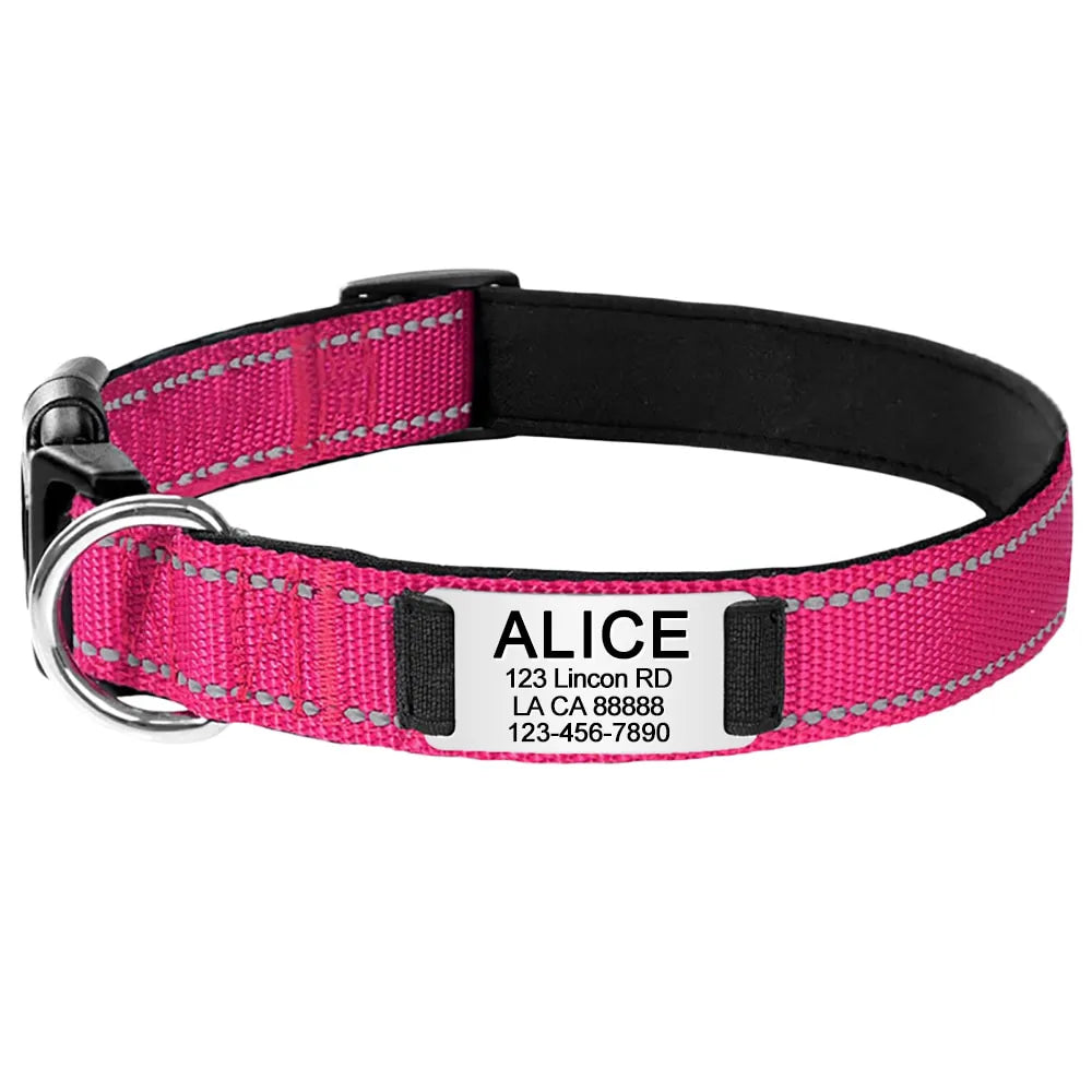 Collier pour Chien Personnalisé Rose foncé