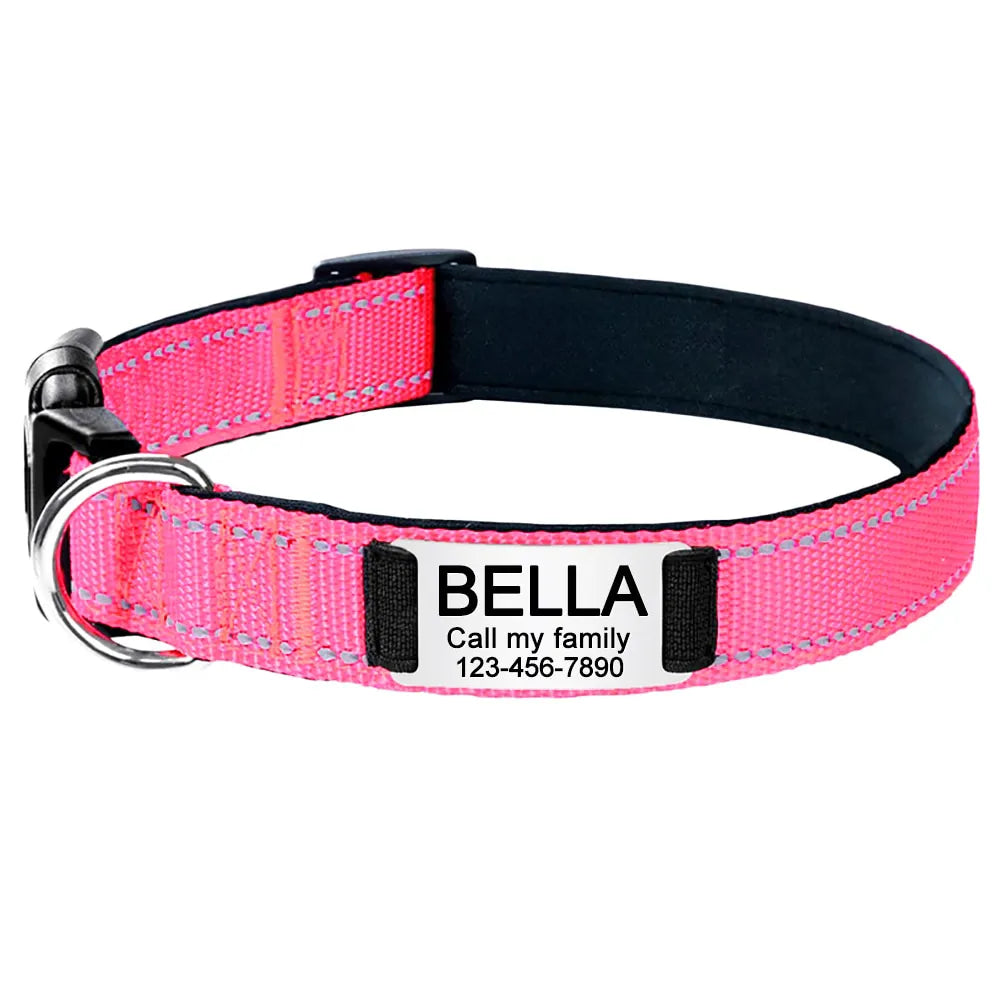 Collier pour Chien Personnalisé Rose