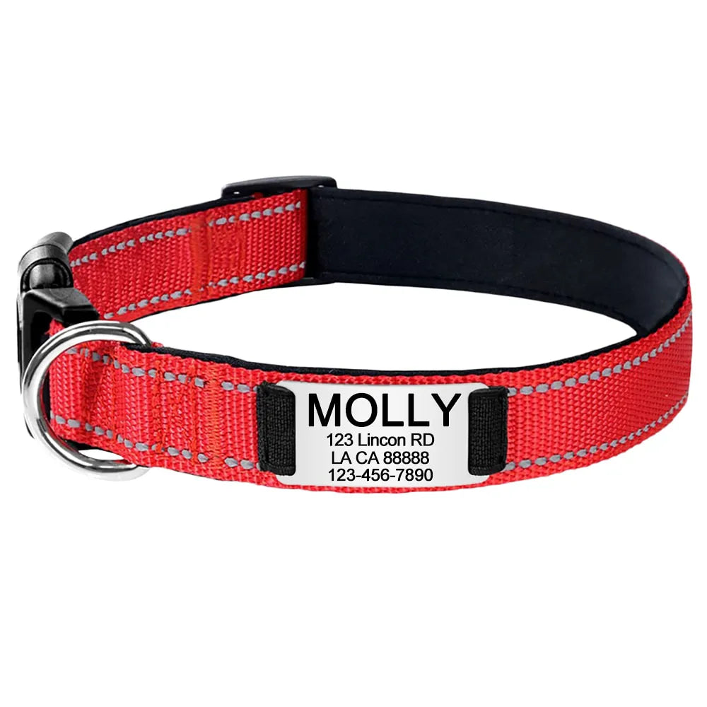 Collier pour Chien Personnalisé Rouge