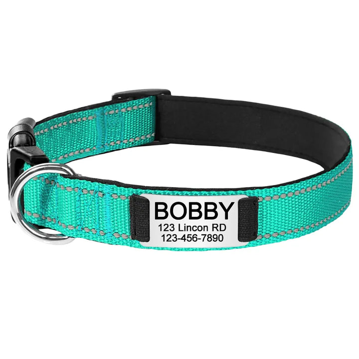 Collier pour Chien Personnalisé Vert