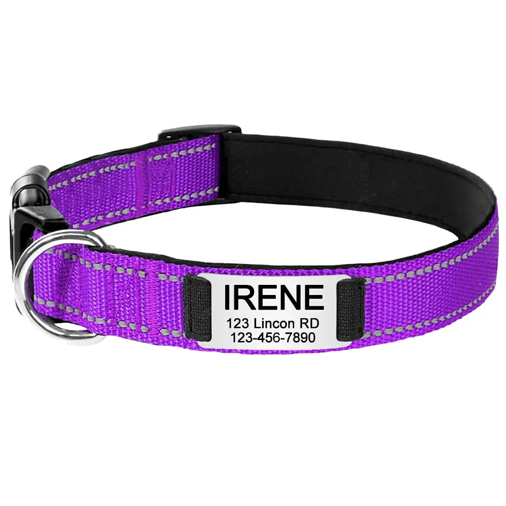 Collier pour Chien Personnalisé Violet