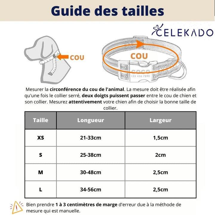 Collier pour Chien Personnalisé
