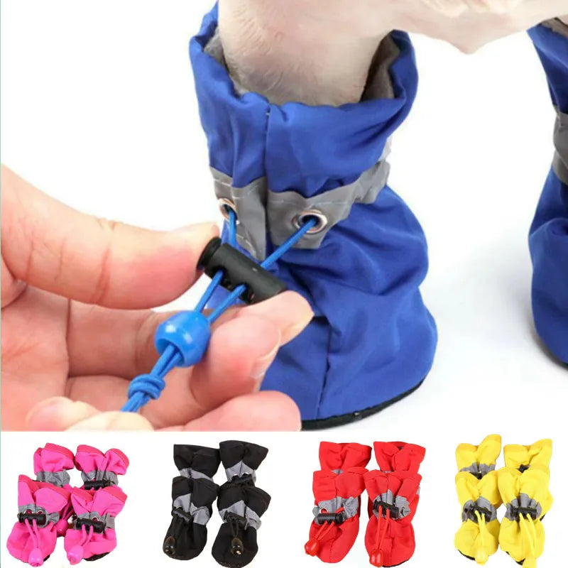Chaussettes pour Chien