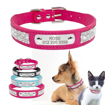 Collier avec Prénom pour Chat - Collier avec Prénom pour Chat