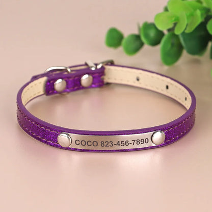 Collier Chat Personnalisé Violet