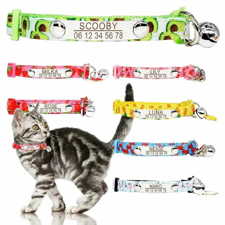 Collier Chaton Personnalisé