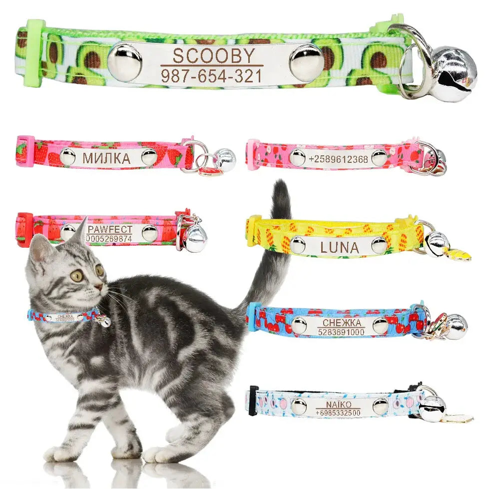 Collier Chaton Personnalisé