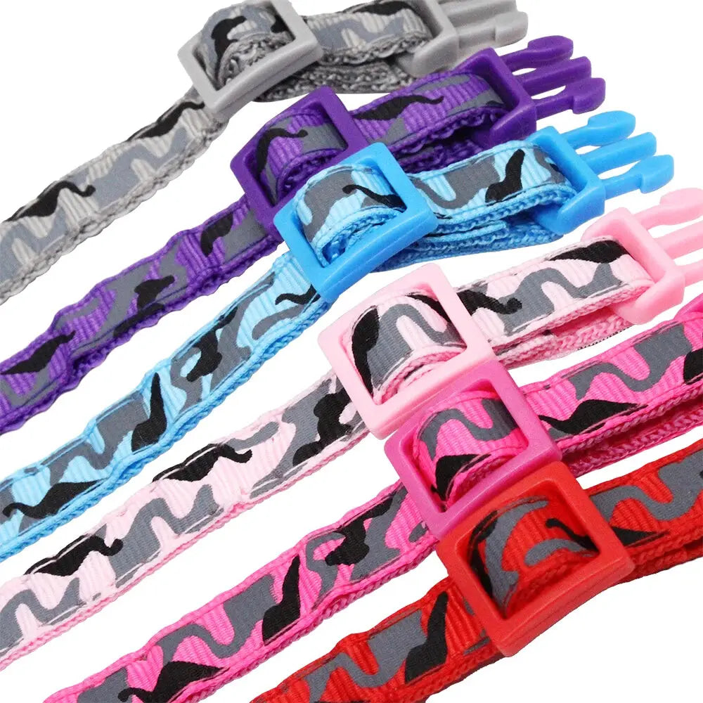 Collier Chien avec Nom Gravé