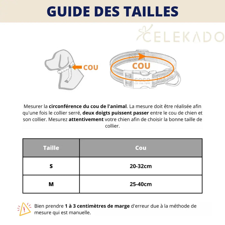 Collier Chien avec Nom Gravé