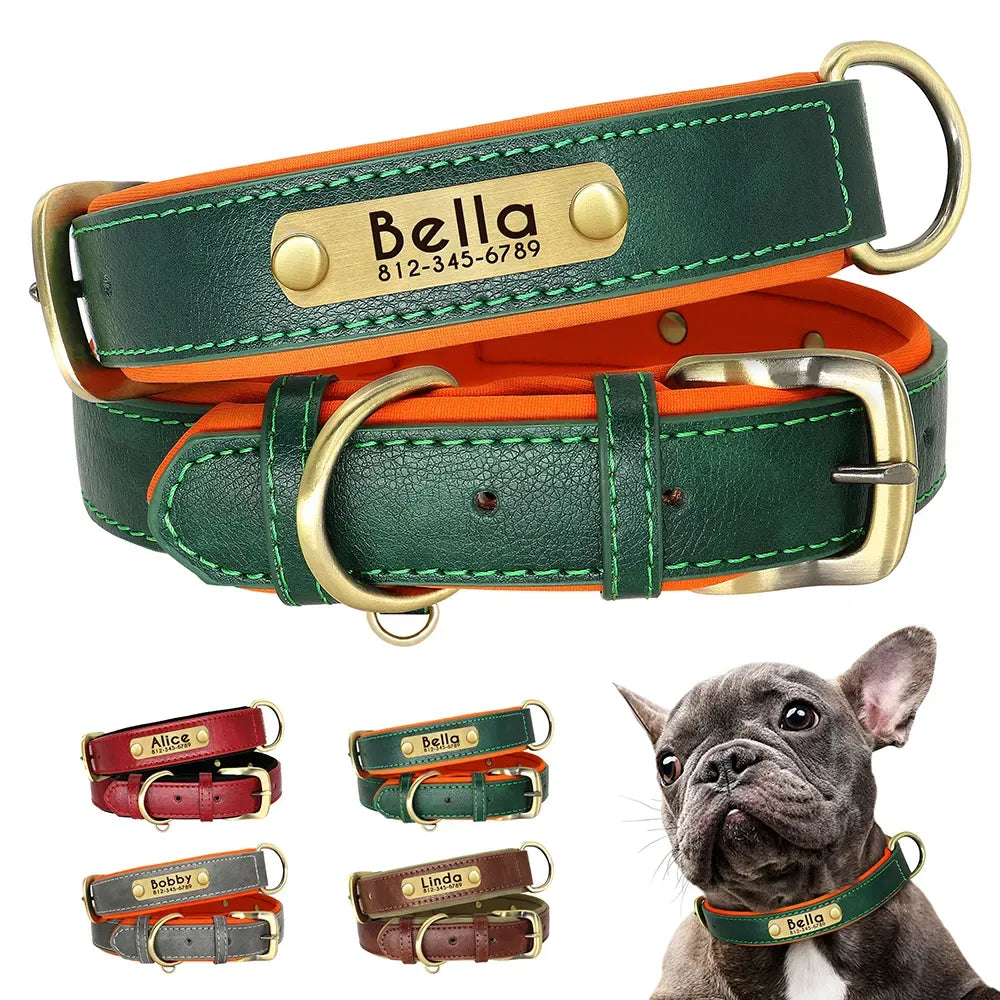 Collier Chien avec Plaque Gravée