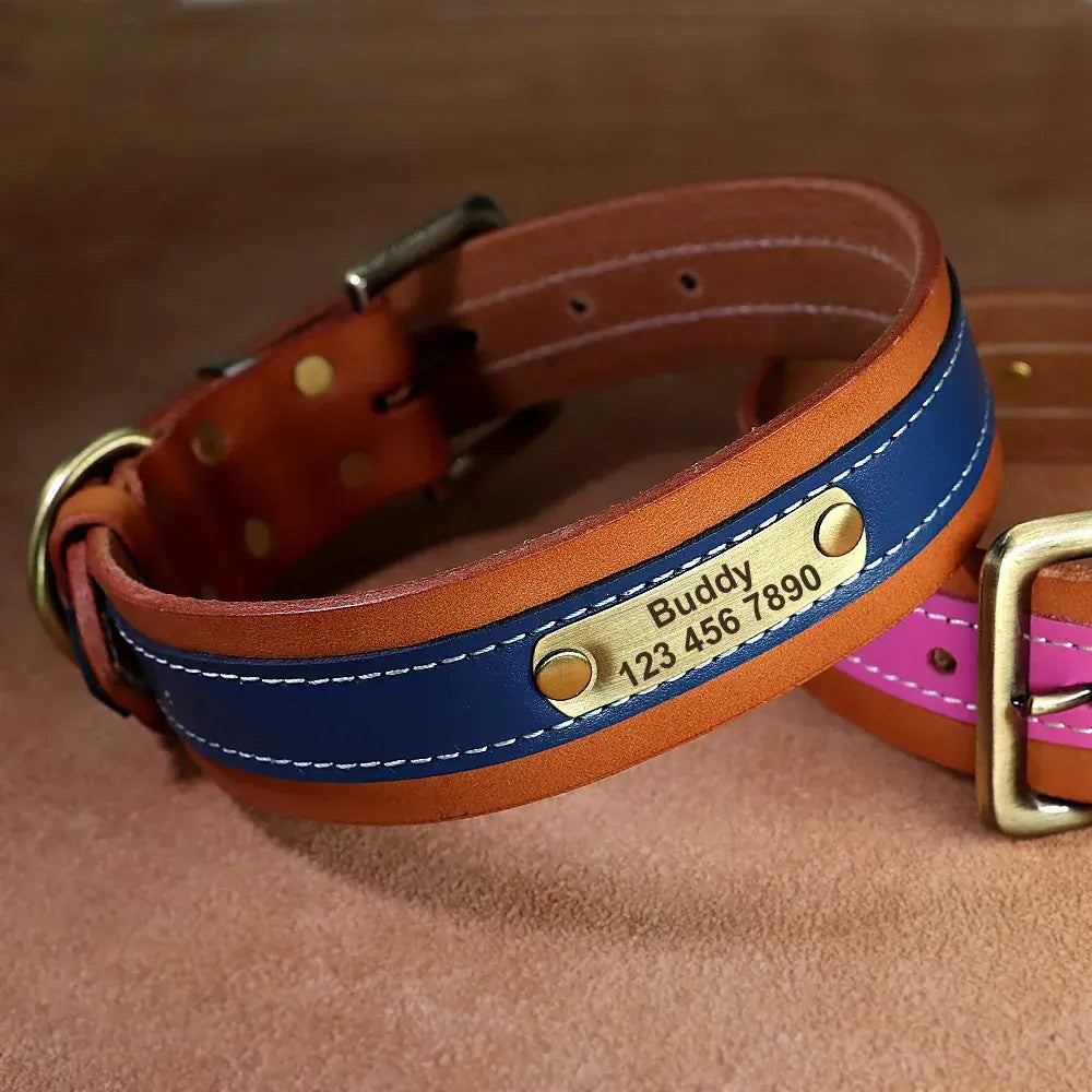 Collier Chien avec Prénom - Bleu / XL