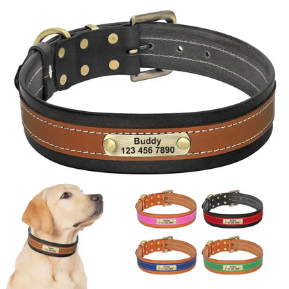 Collier Chien avec Prénom - Collier Chien avec Prénom
