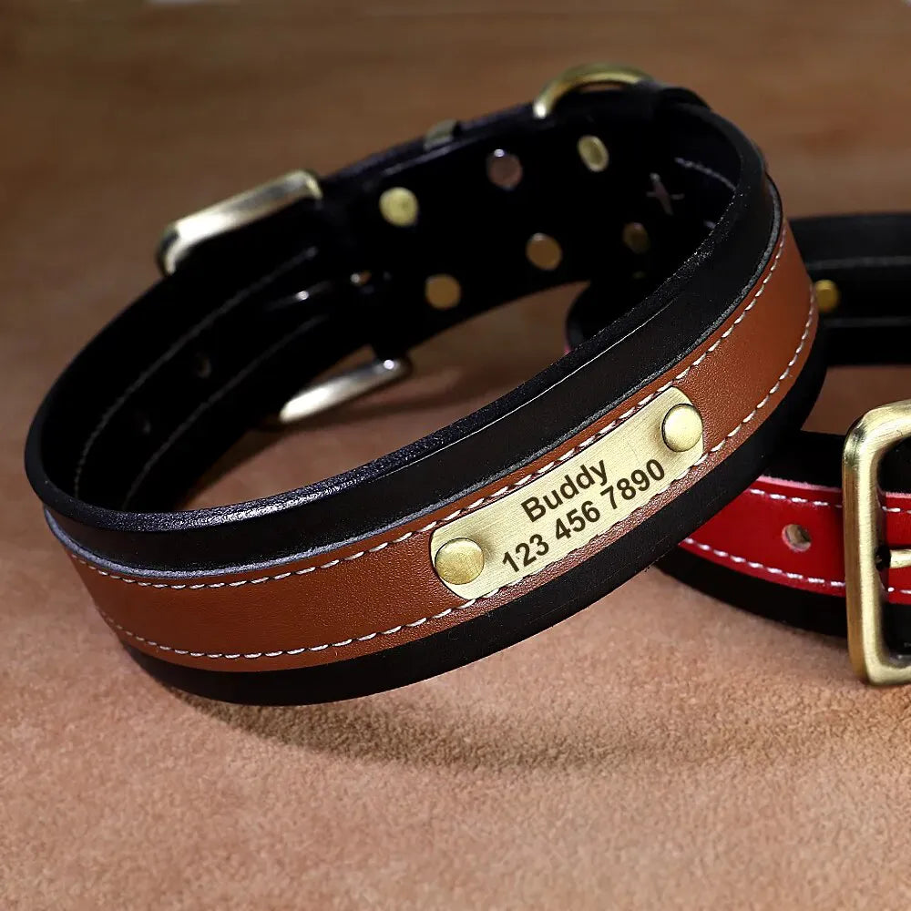 Collier Chien avec Prénom Marron