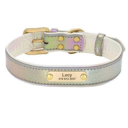 Collier Fluo Chien Personnalisé - Vert / XL