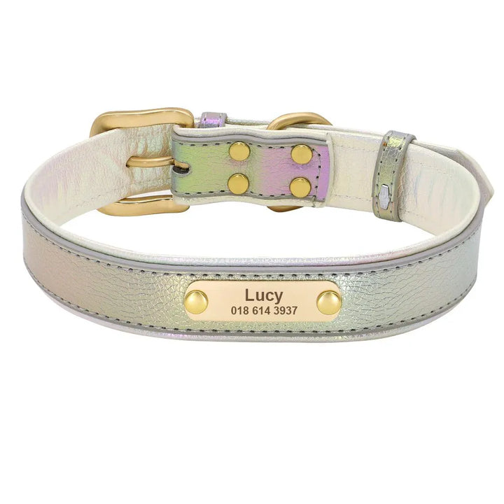 Collier Fluo Chien Personnalisé Vert
